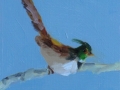 Green-headed bird