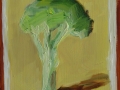 Broccoli, sienna