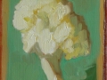 Cauliflower, sienna