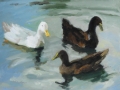Three Ducks, Sky Reflection