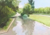 After the Rain