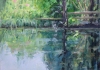 Tyler Pond