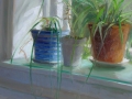 Plants on Windowsill
