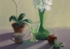 Still Life with Orchid